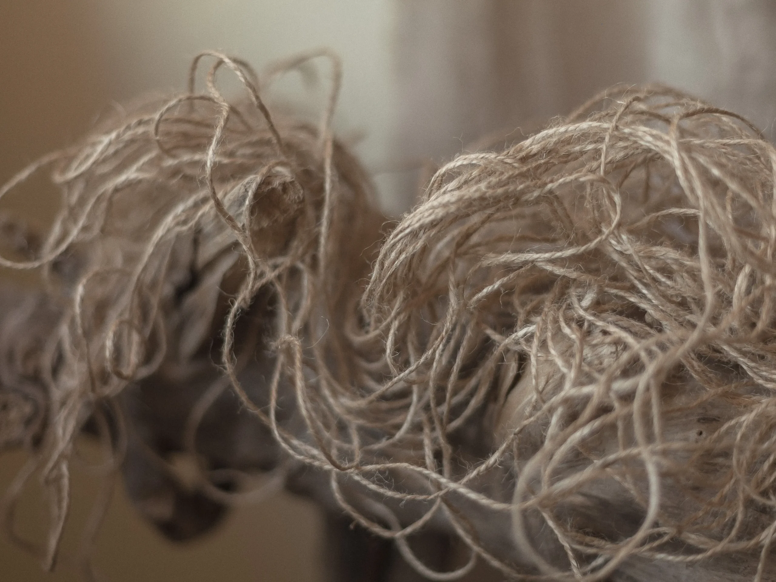 Jute rope supplier in Bangladesh
